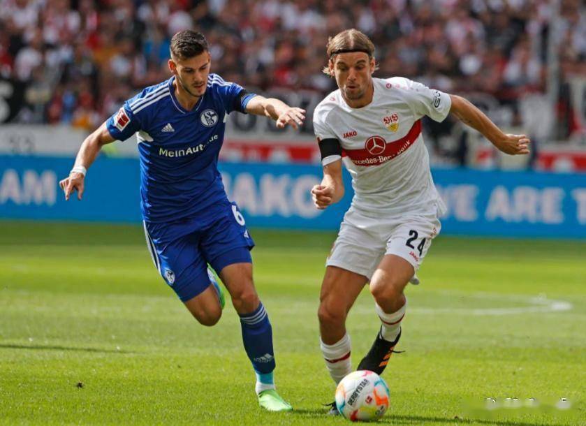 重磅！那不勒斯冲刺阶段绝杀压哨凯恩在瑞士队比赛中悬念迭起，波尔图战术微调备战德甲的简单介绍